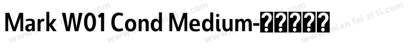 Mark W01 Cond Medium字体转换